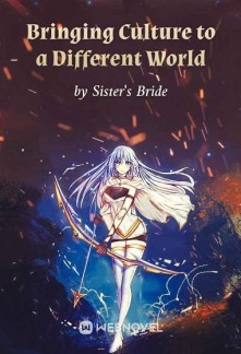 Bringing Culture to a Different World cover