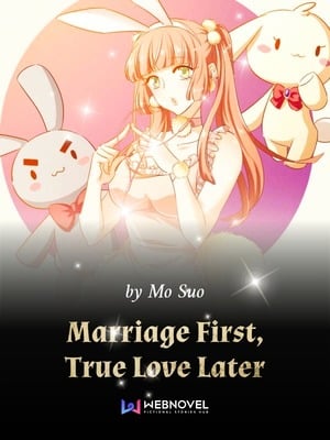 Marriage First, True Love Later Novel cover