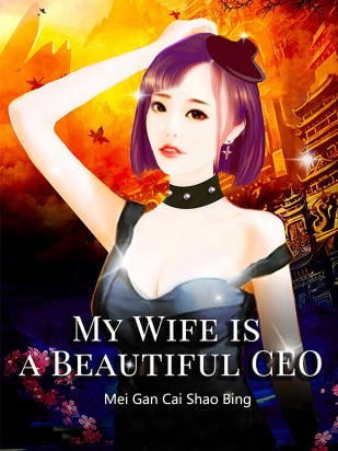 My Wife is a Beautiful CEO cover