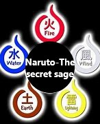 Naruto- Secret Sage cover