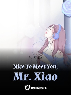 Nice To Meet You, Mr. Xiao cover