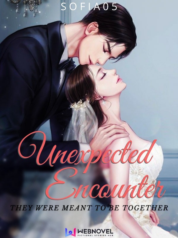 Unexpected encounter:They were meant to be together cover